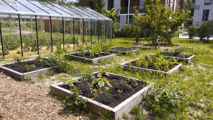 atelier permaculture